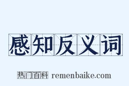 感知反义词是什么意思的图片
